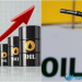 Dầu tăng hơn 2% khi Trung Quốc mở cửa trở lại, OPEC giữ sản lượng ổn định