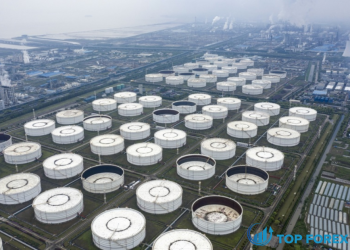 Giá dầu ổn định cao hơn khi đồng đô la suy yếu làm giảm nhu cầu do bão