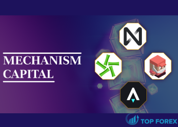 Mechanism Capital là gì? Những điều cần biết về nó
