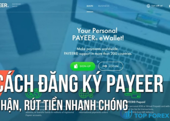 Ví Payeer là gì Hướng dẫn chi tiết cách sử dụng Payeer