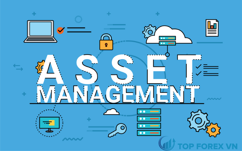 Tầm quan trọng của Asset Management là gì