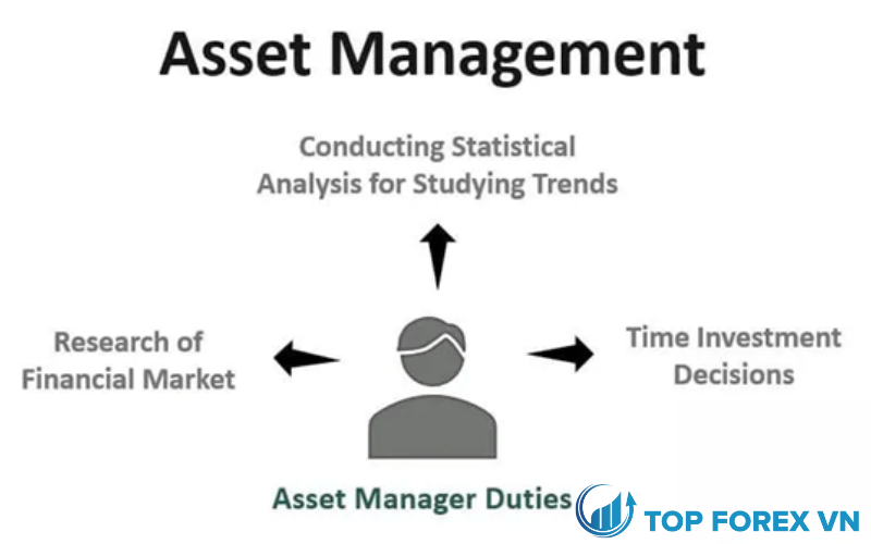 Tìm hiểu chi tiết về Asset Management là gì