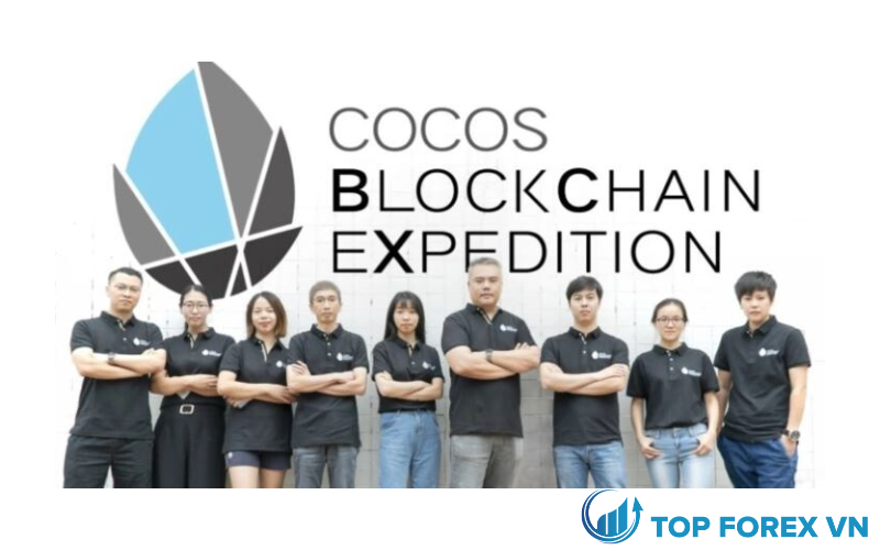 Đội ngũ phát triển Cocos coin là gì?