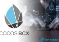 Cocos coin là gì? Những điều chưa biết về dự án Cocos BCX
