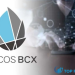 Cocos coin là gì? Những điều chưa biết về dự án Cocos BCX
