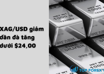 Phân tích giá bạc XAGUSD giảm dần đà tăng dưới $24,00