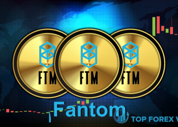 FTM Coin là gì