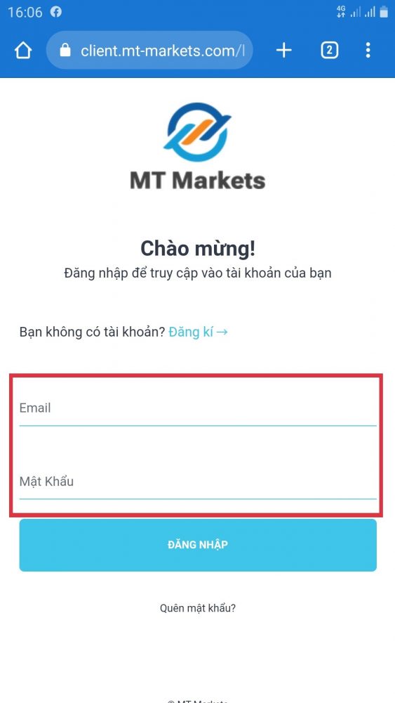 MT-Markets 11