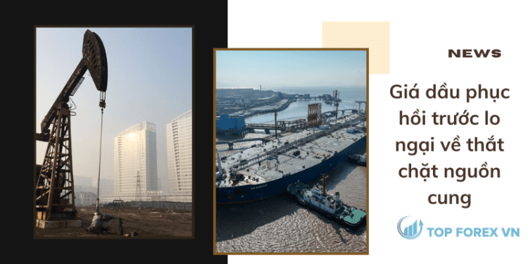 Gia dau phuc hoi truoc lo ngai ve that chat nguon cung
