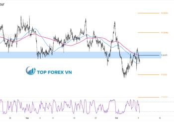 Biểu đồ Forex 1 giờ của AUD/USD