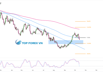 Biểu đồ Forex khung thời gian ngày của NZD/CHF