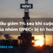 Giá dầu giảm 1% sau khi cuộc họp của nhóm OPEC+ bị trì hoãn