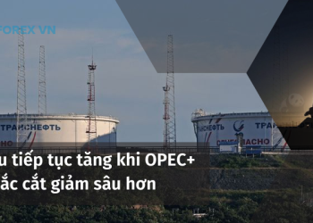 Giá dầu tiếp tục tăng khi OPEC+ cân nhắc cắt giảm sâu hơn