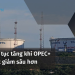 Giá dầu tiếp tục tăng khi OPEC+ cân nhắc cắt giảm sâu hơn