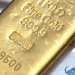 gia vang (64)