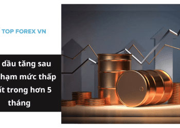 Giá dầu tăng sau khi chạm mức thấp nhất trong hơn 5 tháng