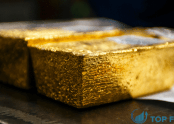 gia vang - 2023-12-27T104954.517