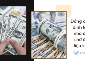 Đồng đô la ổn định khi các nhà đầu tư chờ đợi dữ liệu kinh tế