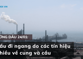 Gia dau di ngang do cac tin hieu trai chieu ve cung va cau