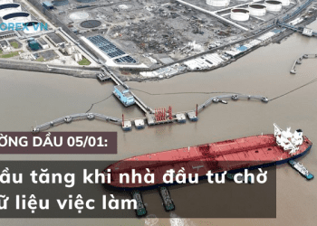 Gia dau tang khi cho doi du lieu viec lam
