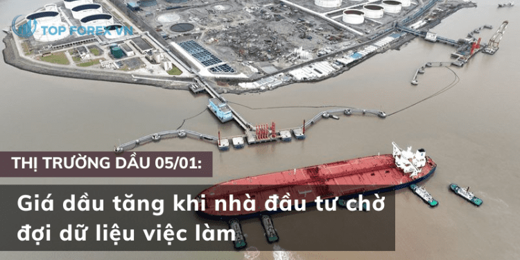 Gia dau tang khi cho doi du lieu viec lam