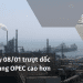 Giá dầu trượt dốc khi nguồn cung OPEC cao hơn