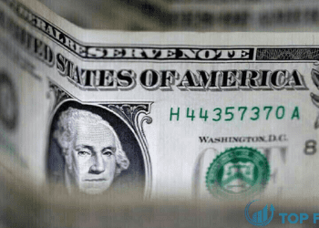 Đồng USD ổn định phiên đầu năm 2024