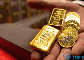 gia vang - 2024-01-10T101932.189