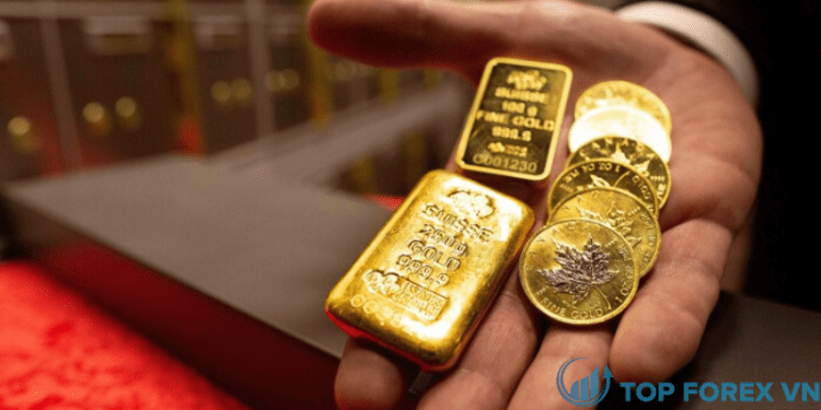 gia vang - 2024-01-10T101932.189