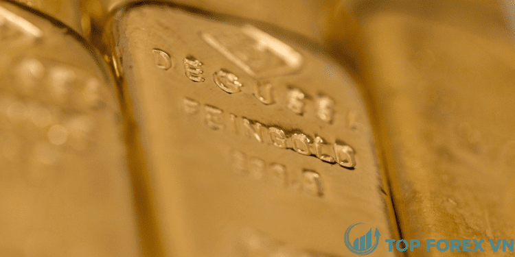 gia vang - 2024-01-12T103613.039