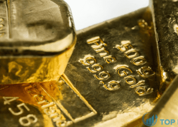 gia vang - 2024-01-19T104751.892