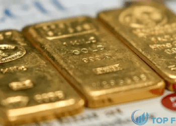 gia vang - 2024-01-22T110611.228