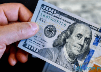 Đồng USD thiết lập tuần mạnh nhất kể từ tháng 7