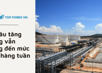 Giá dầu tăng nhưng vẫn hướng đến mức giảm hàng tuần
