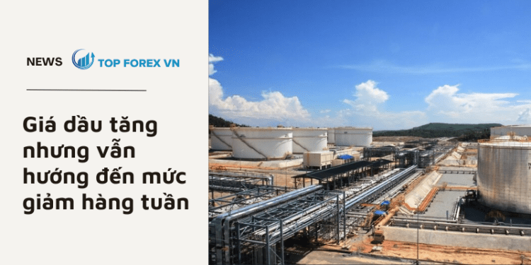 Giá dầu tăng nhưng vẫn hướng đến mức giảm hàng tuần