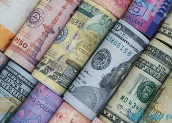 Các Ngân hàng Trung ương lớn đang hướng tới việc cắt giảm lãi suất