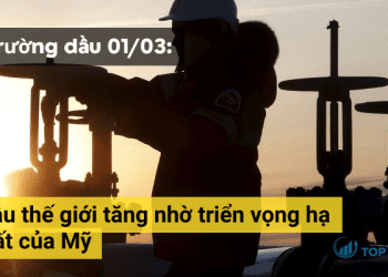 Gia dau tang nho trien vong ha lai suat