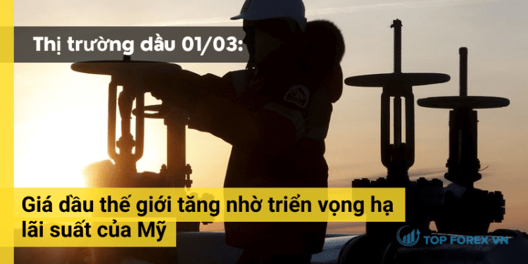 Gia dau tang nho trien vong ha lai suat