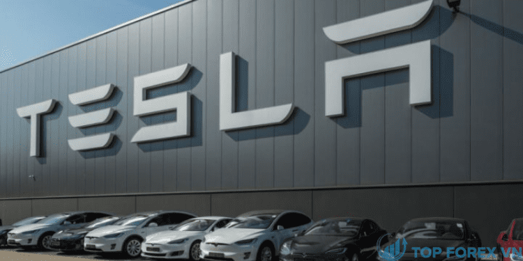 Cổ phiếu Tesla sụt giảm sau khi Morgan Stanley hạ mục tiêu giá