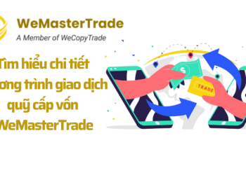 WeMasterTrade (1)
