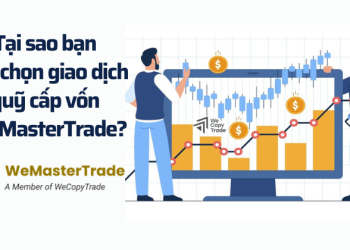 WeMasterTrade (3)