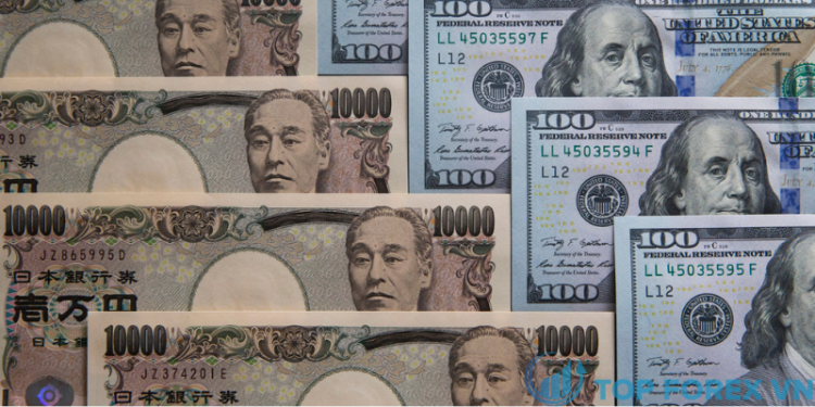 usd (6)