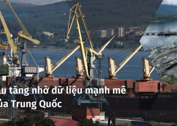 Giá dầu tăng nhờ dữ liệu mạnh mẽ hơn của Trung Quốc