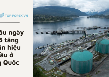 Giá dầu ngày 09/05 tăng nhờ tín hiệu nhu cầu ở Trung Quốc