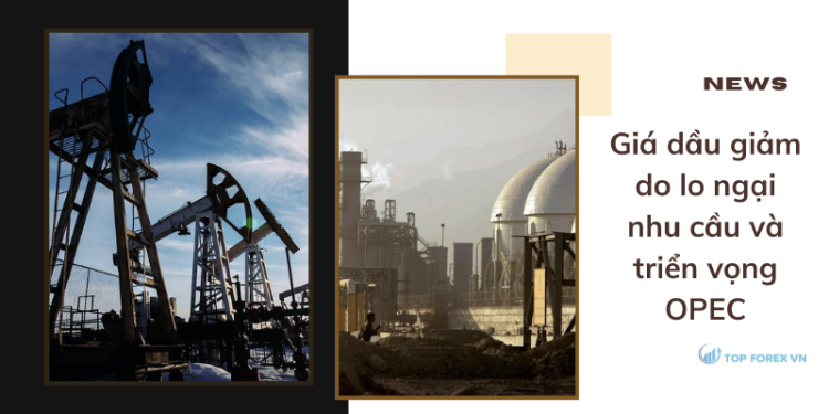 Giá dầu giảm do lo ngại nhu cầu và triển vọng OPEC