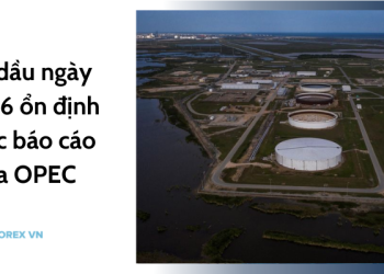 Giá dầu ngày 10/06 ổn định trước báo cáo của OPEC