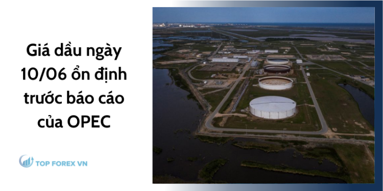 Giá dầu ngày 10/06 ổn định trước báo cáo của OPEC