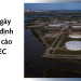 Giá dầu ngày 10/06 ổn định trước báo cáo của OPEC