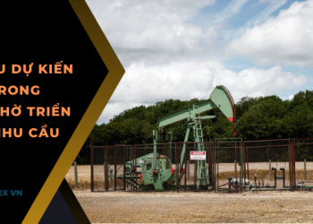 Giá dầu dự kiến ​​tăng trong tuần nhờ triển vọng nhu cầu