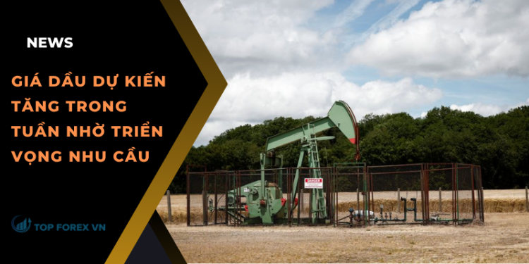 Giá dầu dự kiến ​​tăng trong tuần nhờ triển vọng nhu cầu